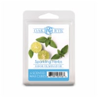 Oak & Rye™ Sparkling Herbs Scented Wax Cubes Perspective: Main