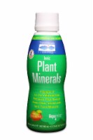 Trace Minerals Research  Ionic Plant Minerals Dietary Supplement   Tangerine