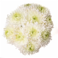 White Disbud Magnum Perspective: Main