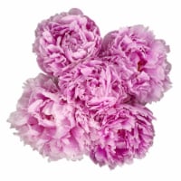 Peonies Bouquet