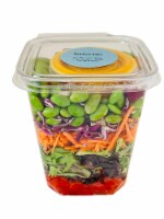 Food Evolution Rainbow Layered Salad Perspective: Main