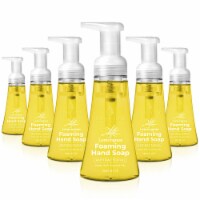 Lemongrass Antibacterial Foaming Hand Soap