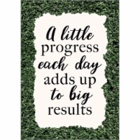 Teacher Created Resources 13-3/8  x 19  A little Progress Each Day Adds up to Big Results