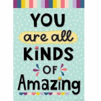Teacher Created Resources 13-3/8  x 19  You Are All Kinds Of Amazing Positive Poster