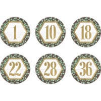 Teacher Created Resources Spot On Floor Markers Eucalyptus Numbers 1-36 4 Multicolored Pack
