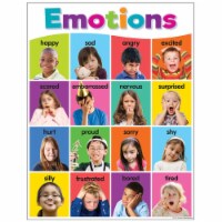 Colorful Emotions Chart, 17  x 22