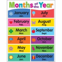 Colorful Months of the Year Chart, 17  x 22