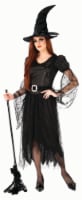 Rubie's Witch of Darkness Adult Size Large Halloween Costume Perspective: Main