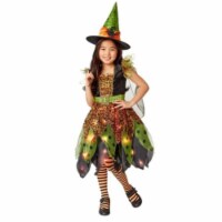 Ruby Slipper Sales 656896 Light Up Fairy Witch Child Costume - Small