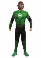 Rubies The Green Lantern Boys Kilowog Halloween Costume Child Size Large 12-14