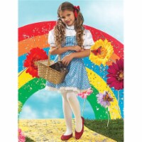 Amazon.com: Wizard of Oz Dorothy Corset and Tutu Costume Set