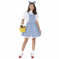 Rubies Costumes 113557 The Wizard of Oz Dorothy Teen Costume - Teen