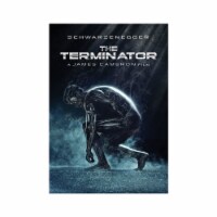 The Terminator (DVD) Perspective: Main