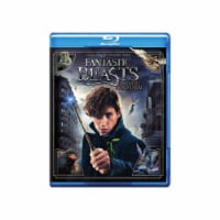 Fantastic Beasts and Where to Find Them (2016 - Blu-ray/DVD/Digital HD) Perspective: Main