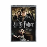 Harry Potter and the Deathly Hallows - Part 1 (2010 - DVD) Perspective: Main