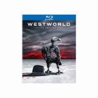 Westworld Season Two: The Door (Blu-Ray/Digital Copy) Perspective: Main