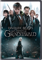 Fantastic Beasts: The Crimes of Grindelwald (2018 - DVD - 2-Disc Special Edition) Perspective: Main