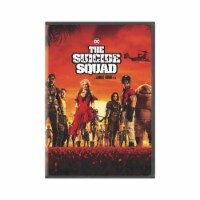 Suicide Squad (DVD + Digital) Perspective: Main
