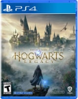Hogwarts Legacy Standard Edition (PS4®) Perspective: Main