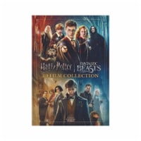 Wizarding World: 10 Film Collection (2021 - DVD) Perspective: Main