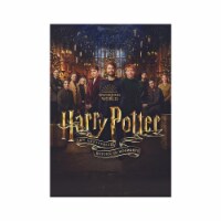 Harry Potter 20th Anniversary Edition Return to Hogwarts (2022 - DVD) Perspective: Main