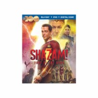 Shazam! Fury of the Gods (2023 - DVD/Blue-Ray/Digital Code)