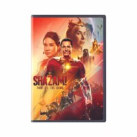 Shazam! Fury of the Gods (2023 - DVD)