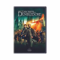 Warner Home Video Fantastic Beasts: The Secrets of Dumbledore DVD Perspective: Main