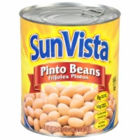 Sun Vista® Pinto Beans Perspective: Main