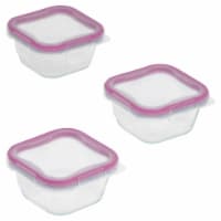 Snapware® Total Solution Covered Glass Squares