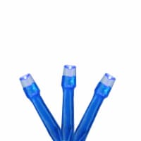 Northlight 20 Battery Operated Blue LED Wide Angle Christmas Lights - 6.25 ft Blue Wire