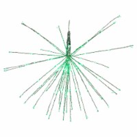 Northlight 20 LED Lighted Firework Silver Branch Hanging Decor - Green