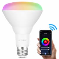 Eco4life Smart Wi-Fi LED Bulb BR30 - BBW504