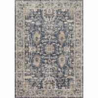 Teagan , Denim / Pebble - 2'-8  x 4'