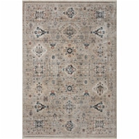 Lei-02 Dove, Multi 2'-7  X 10'-10  Size Rug