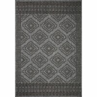 RAI-06 Grey, Charcoal 3'-11  x 5'-11  Size Rug
