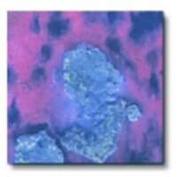 Sax True Flow Lead-Free Non-Toxic Crystal Magic Glaze- 1 Pint- Blueberry Pie