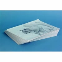 School Smart 085598 Sax Plain Newsprint Newspaper- 30 Lbs. - 18 x 24 In. - White- Pack Of 500