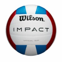 Wilson Impact Volleyball