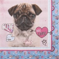 BuySeasons 264129 Rachael Hale Dog Love Lunch Napkins - 20 Piece
