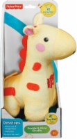 Fisher-Price® Soothe and Glow Giraffe Perspective: Main
