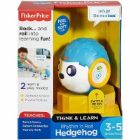 Fisher price rhythm deals and roll hedgehog