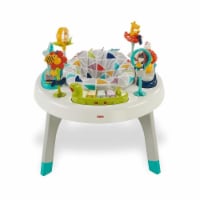 Fisher-Price Baby To Toddler Activity Center With Lights And Music, Sit To Stand, Safari Perspective: Main