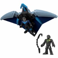 Fisher-Price® Imaginext DC Super Friends Ninja Nightwing & Glider Perspective: Main