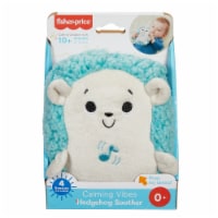 Fisher-Price® Calming Vibes Hedgehog Soother Perspective: Main