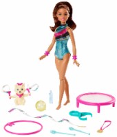 Mattel Barbie® Dreamhouse Adventures Spin 'n Twirl Gymnast Doll and Accessories Set