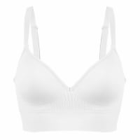 Dip Seamless Molded Padded Bra Perspective: Main