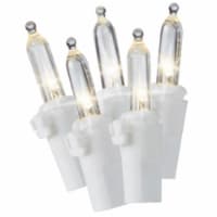Holiday Home® White Wire LED Mini Twinkle Christmas Lights - Warm White Perspective: Main