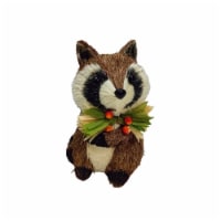 Holiday Home Harvest Raccoon Perspective: Main
