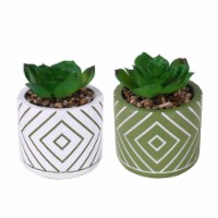 HD Designs Outdoors Gree/White Succulent Plant